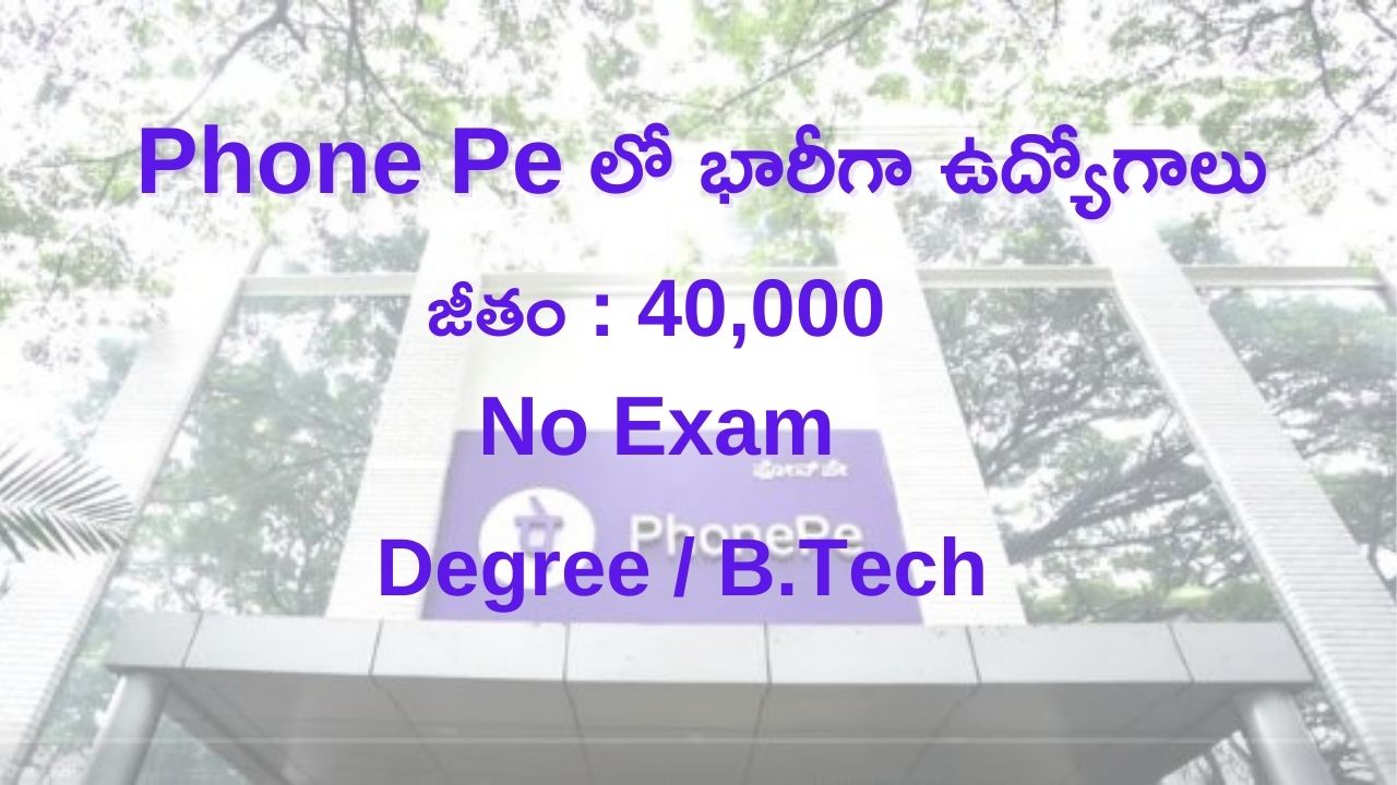 Phone Pe Recruitment 2024